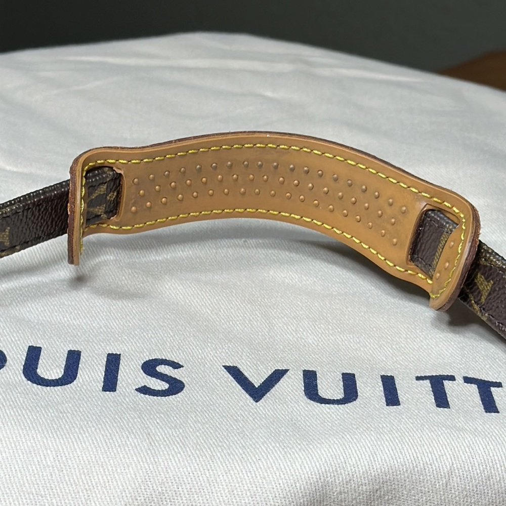 LOUIS VUITTON Monogram Amazone Crossbody - Picture 10 of 16